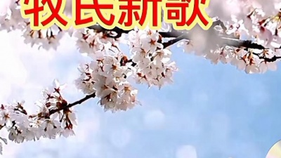 宁海燕 - （牧民新歌—伍国忠）笛子音乐视频欣赏