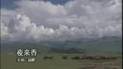 赵鹏、Zhao Peng - 夜来香