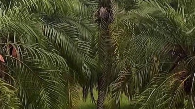 碧海蓝天 - 新歌抢先听！一首男女情歌对唱居然这么好听《爱情这条路我该怎么走》深情演绎百听不厌