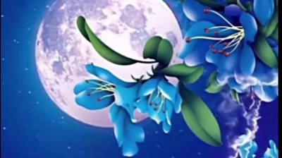 鹅塘鲁工作室 - 我们再也没有了以后