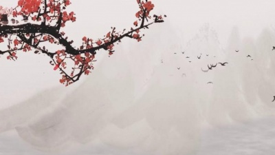 祖海 - 不是我不小心