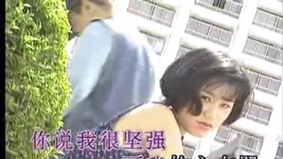 王子鸣 - 我的心等着你