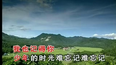 程琳 - 柳笛