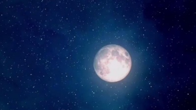 淡淡清茶 - 彩蛋《名侦探柯南:绀青之拳》官方删除的那段，M24赤井秀一带着m24狙击枪登场啦！！