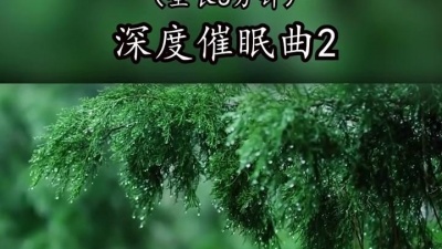 永吉祥 - 催眠音乐