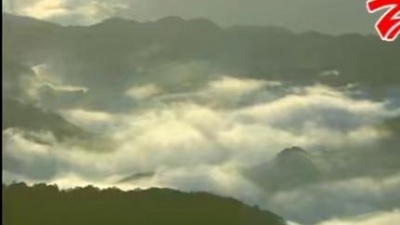 猪哥亮 - 观自在