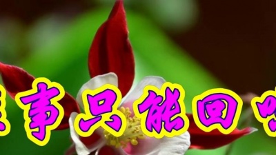 所谓伊伊 - 周虹一首经典老歌《往事只能回味》勾起童年美好记忆