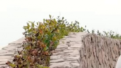 徐金慧 - 童话镇