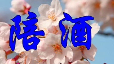 晓哥哥墩墩 - 林淑娟一首经典情歌《陪酒》好听极了
