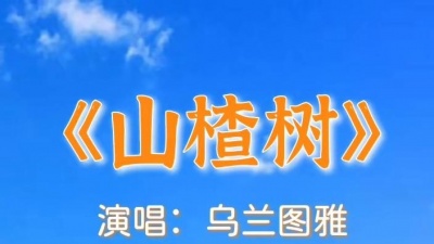 莓miruku - 苏联歌曲《山楂树》完整版，岁月如歌，老歌长流，老歌回放陪伴你每一天，感谢聆听～#经典老歌  #怀旧金曲老歌 #百听不厌 #完整版 #山楂树