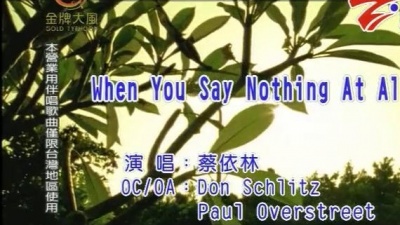 蔡依林 - When You Say Nothing At All