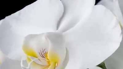 小老妈妈 - 雷婷献唱一曲《最远的你是我最近的爱》好听至极，唱哭天下有情人
