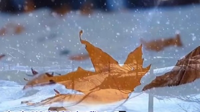 梦回秦时明月 - 殇雪