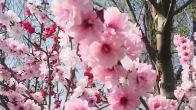 白雪小郡主 - 任向东一首《陪你一起变老》清脆悦耳，情意绵绵。醉人心扉！