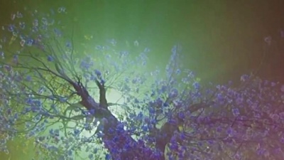 萧民制作 - 落在莲花上的蝶～云菲菲演唱景色版