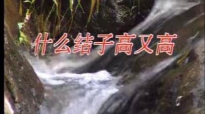 对唱 - 什么结子高又高 (KTV版)