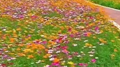 夏日凉风 - 祁隆先生作词作曲的一首好听的歌曲《人生路》竖屏MV送给大家