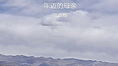 心医 - 伟大的祖国