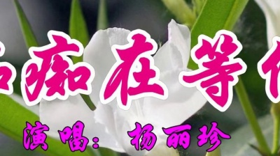 金曲分享家 - 经典情歌，杨丽珍一首《痴痴在等你》好听极了