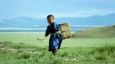 音乐铺 - 藏族美女翻唱草原歌曲《家乡》，天籁之音不输原唱韩红，太好听了