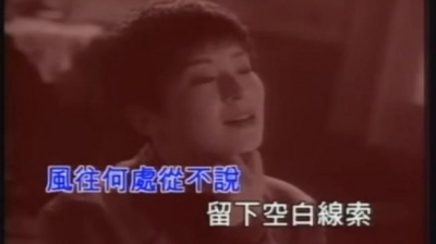 陈淑桦 - 聪明糊涂心
