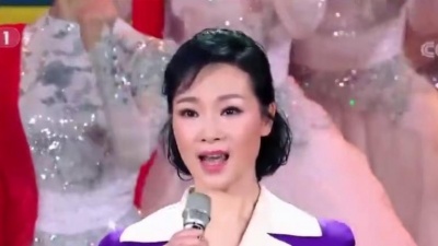 于途玉兔捣药 - 歌曲《你有多美》演唱会:蒋大为:吕薇:刘和刚:王莉