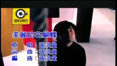 张洪量 - 美丽的花蝴蝶
