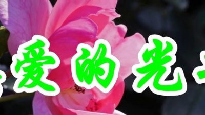 心若冰清 - 张冬玲一首经典情歌《真爱的光芒》好听极了