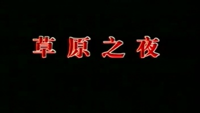 王宏伟 - 草原之夜