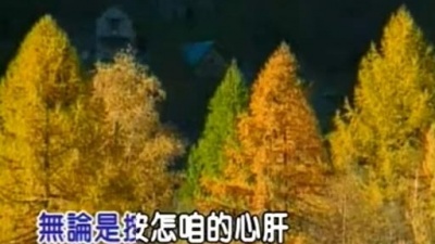 罗大佑 - 初恋的少年家