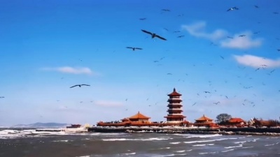 少女每日搬 - 听一曲爱的评弹！告诉我心中的呼唤???#我有百变姿态
