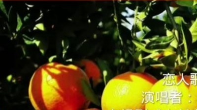 米兔 - 恋人歌歌（试听版）（《古剑奇谭》电视剧主题曲）