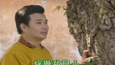 评弹 - 庵堂认母