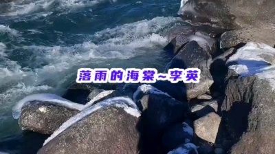 香山音画 - 新歌：李英《落雨的海棠》
