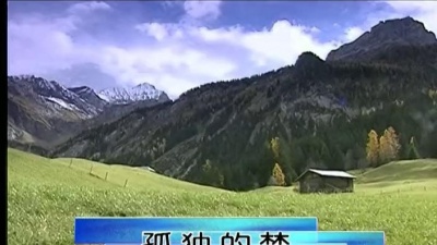 任静 - 孤独的梦