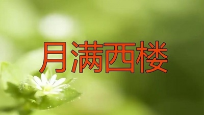 昔日情怀 - 刘紫玲一曲《月满西楼》歌声如银铃般清脆，令人久久陶醉