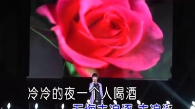 于金胜 - 想你就让我哭 (KTV版)