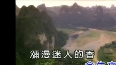 王芷蕾 - 昨天再见