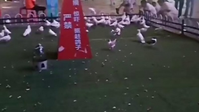 刘富聪 - 《打工的人儿DJ版》
演唱：刘富聪
把这首歌送给打工的朋友们！你们辛苦了！