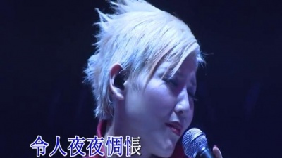 刘美君 - 依依