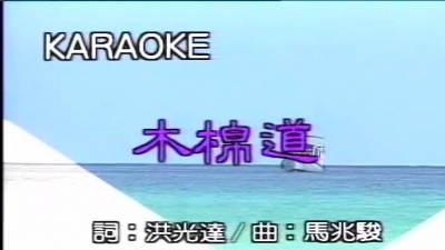 王梦麟 - 木棉道