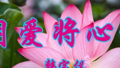 吾爱音乐 - 经典老歌，韩宝仪一首《用爱将心偷》好听极了