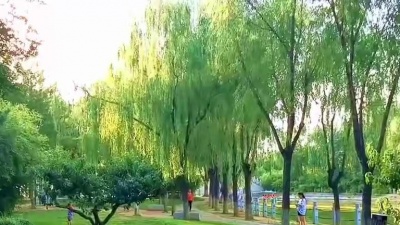 跟我来听歌 - 一首DJ版《伤过的心》,节奏感超强,带给你不一样的感觉