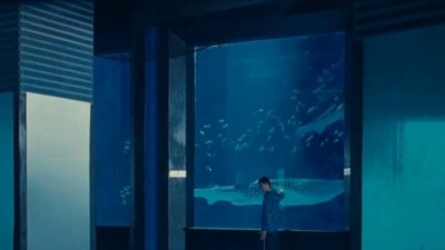 小龙虾音乐 - 怀旧经典金曲：蔡琴《心恋》