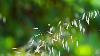 王亮 - 用心爱你你不懂
