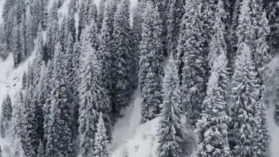 燕燕是个大宝贝917 - 雪山阿佳     演唱  乌兰托娅