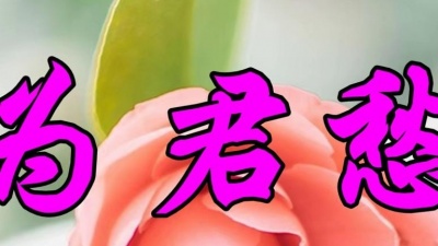 经典金曲 - 经典情歌，林玉英一首《为君愁》伤感至极