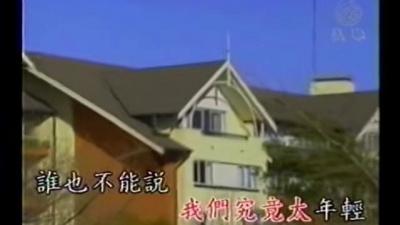 杨林 - 分手的话