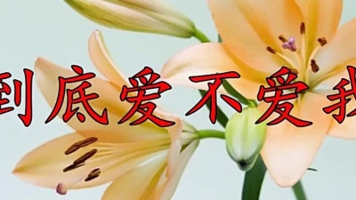 小溪爱音乐 - 一首《你到底爱不爱我》男人听了心碎，女人听了流泪！
