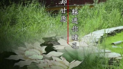 纳兰珠儿 - 你是我的江南